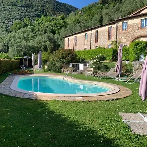 Il Grillo Sull'olivo Casa vacanze Camaiore